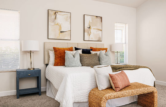 Altavista Cir-21