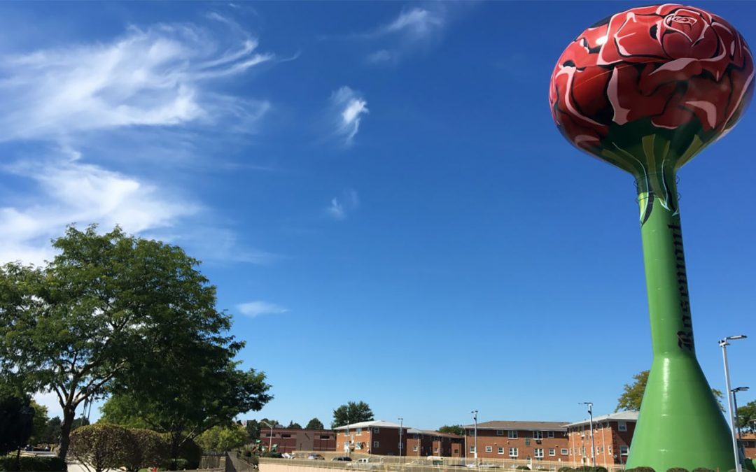 10 Bucket List Things to See and Do in Rosemont