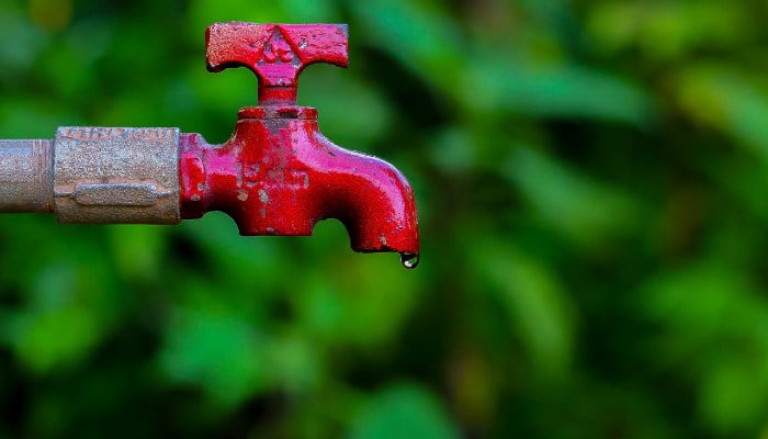5 Smart Ways to Save Water in the Summer