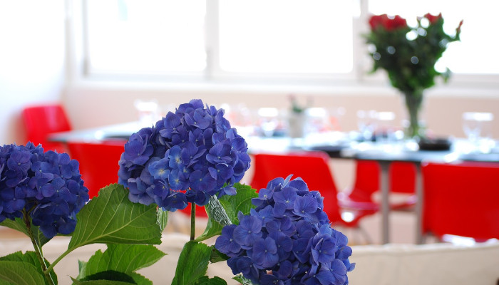 6 Ways to Create the Entertaining Space You’ve Always Wanted