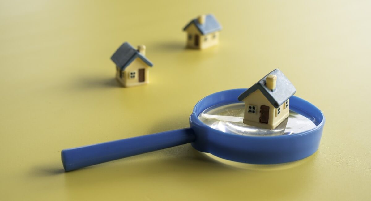 What Is a Property Survey
