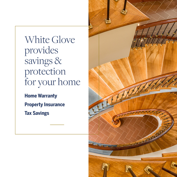 white glove 2.0_post 5