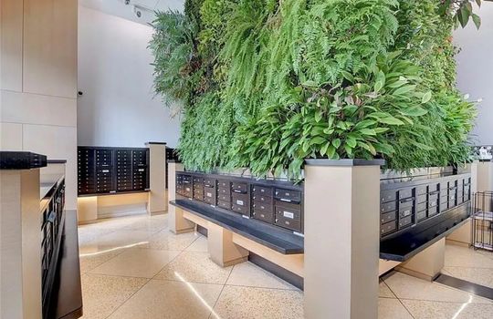 250 Gorge Rd Amenities - 10