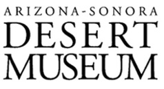 Attractions Logo 1