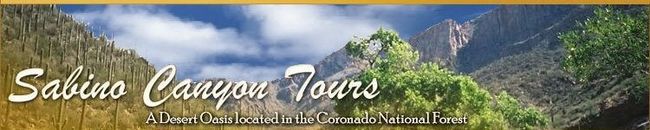 Attractions Logo 2