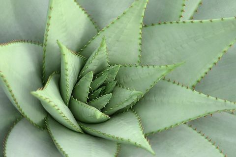 Center Pointe Vistoso