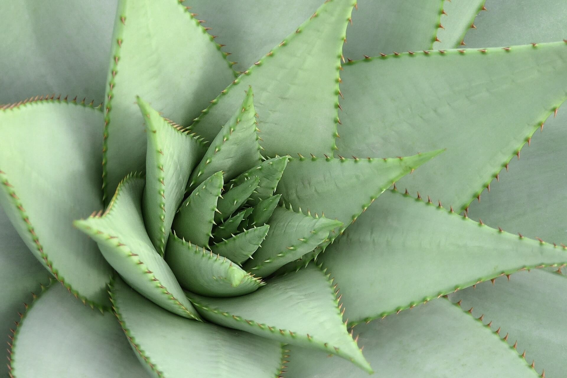 Vistoso Village Rancho Vistoso, Hilary & Jay