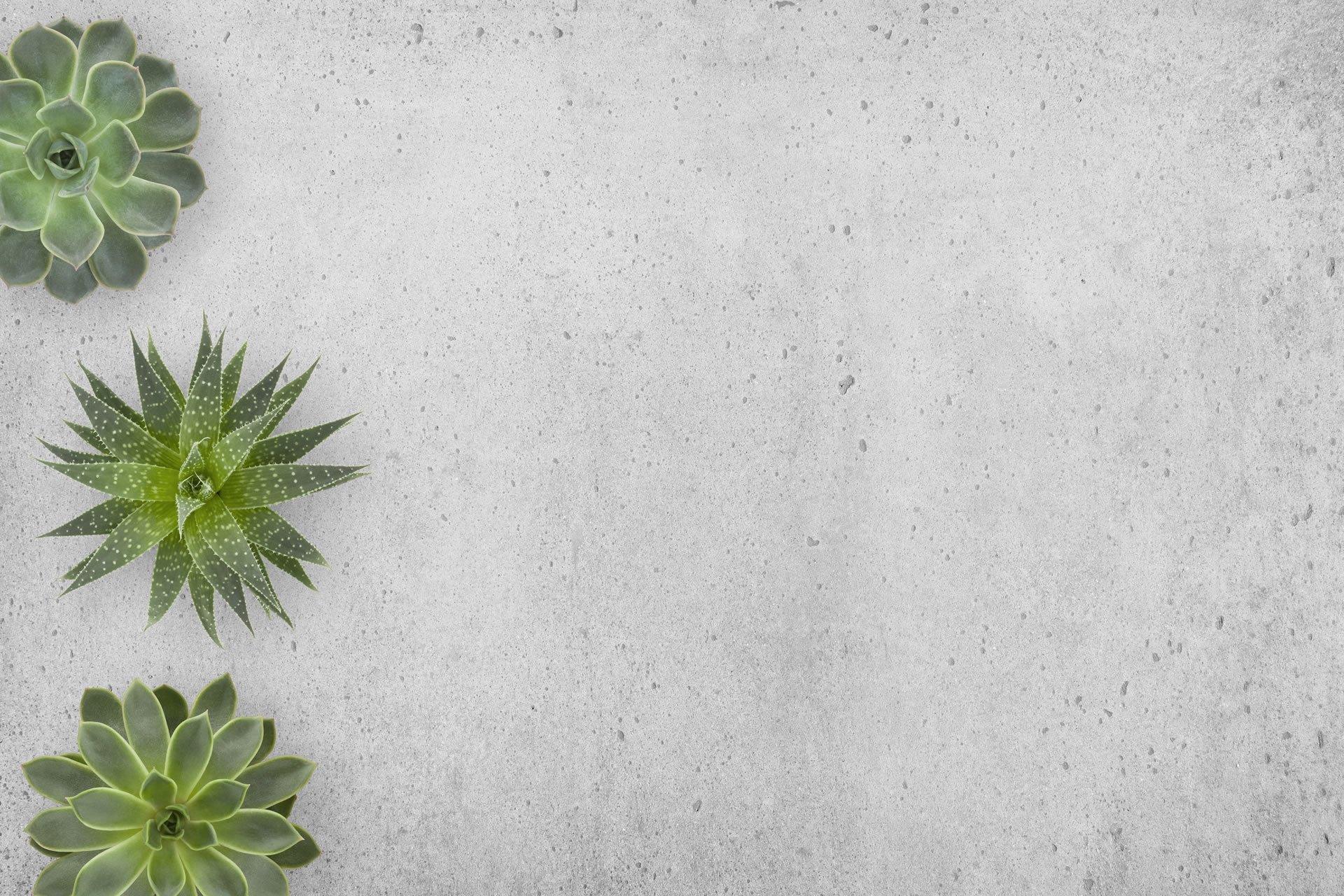 Homepage Testimonials Image (background 2)