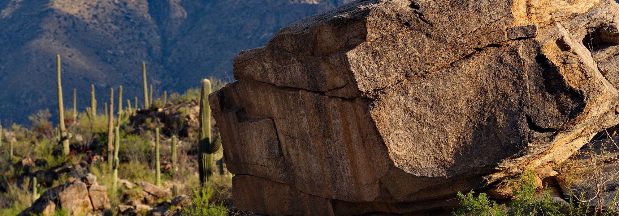 Honey Bee Ridge Rancho Vistoso, Hilary & Jay