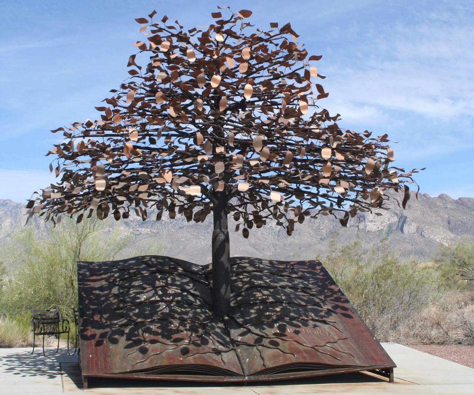 Oro Valley Public Library Rancho Vistoso, Hilary & Jay Specializing