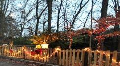 Athens-Deck-the-Hollow-Holiday-Lights