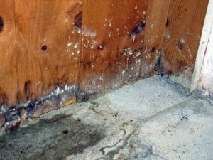 water damaged basement