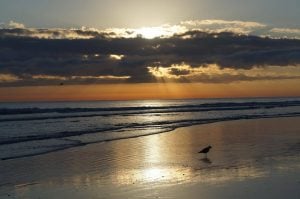 New-Smyrna-Beach