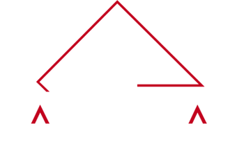 Platinum Team Logo White