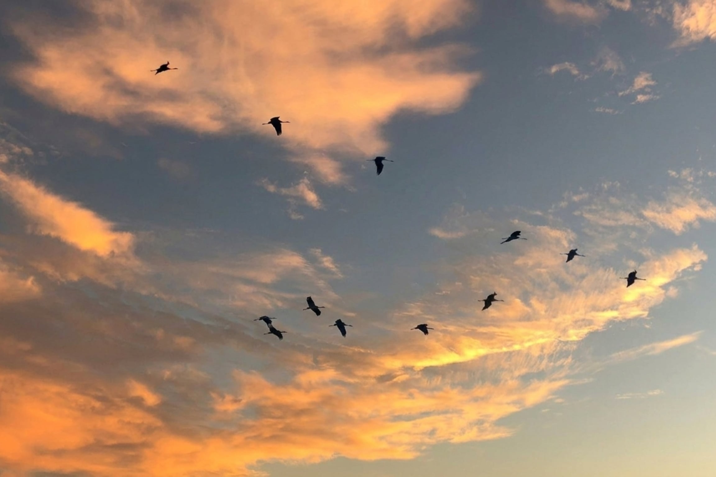 Blog Featured Photo (5)