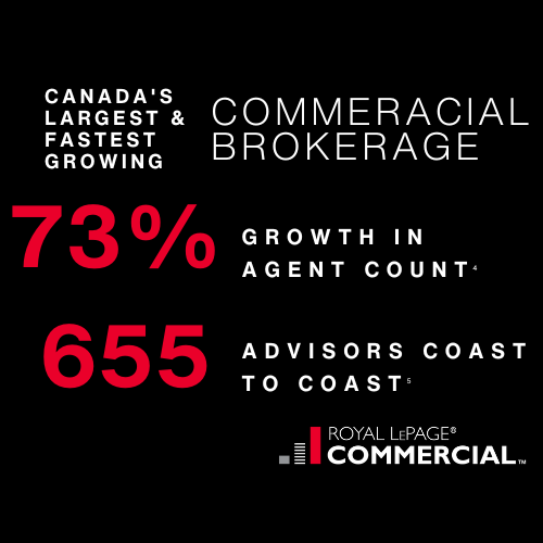 Untitled design (94)