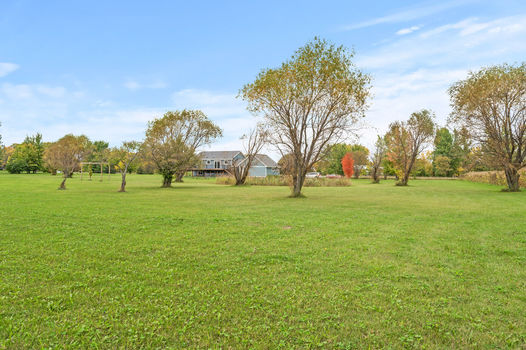 38_14127_Furuby38_mls