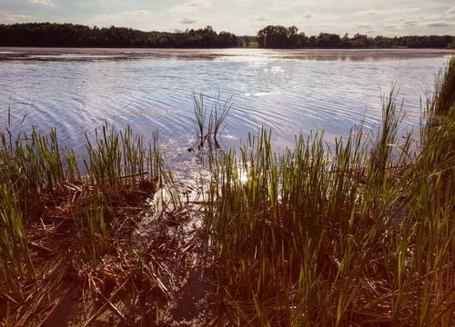 Lake Elmo Park Reserve in Woodbury - St. Paul area