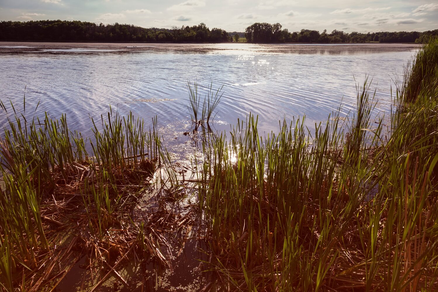Lake Elmo Park Reserve in Woodbury - St. Paul area