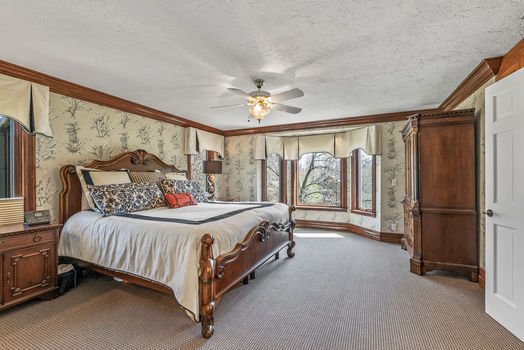 50_2890_Autumn_Woods50_mls