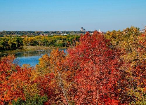 Mendota Heights. Autum color