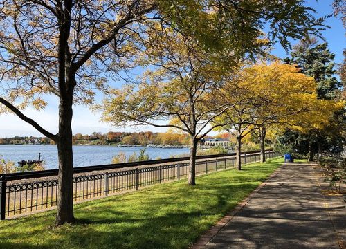 Minnetonka Lake Trees Fall Wayzata