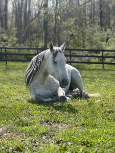 IMG_6967