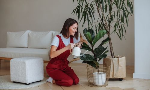 7 Plants That Need To Be Taken &hellip;