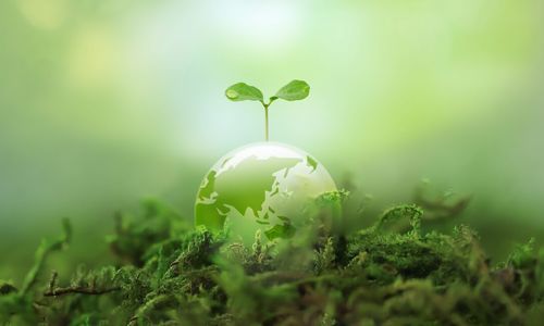 5 Tips For Eco-Friendly Living