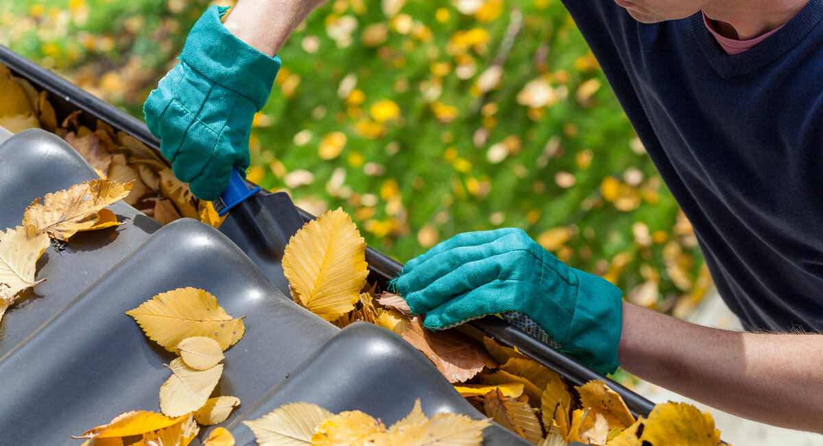 Gutter Cleaning
