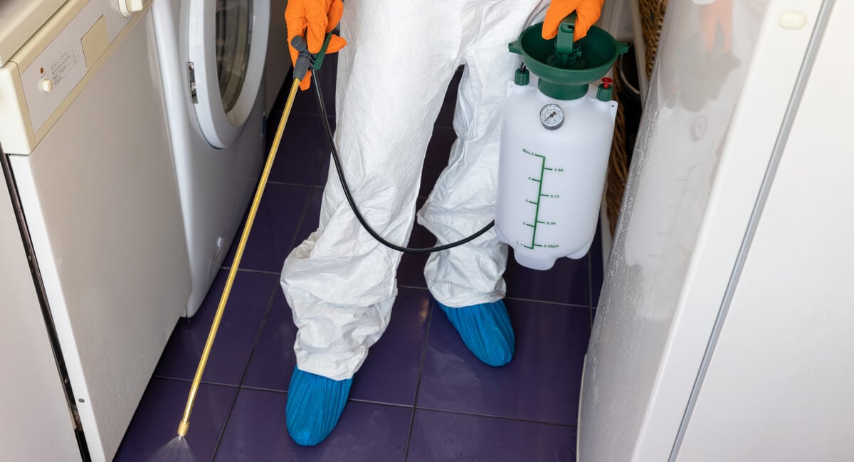 Pest Control
