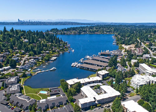 Bellevue