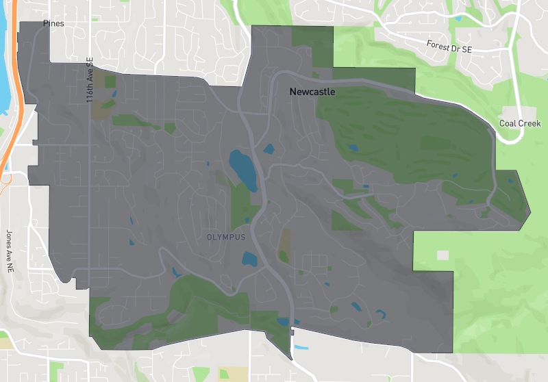 Newcastle Real Estate