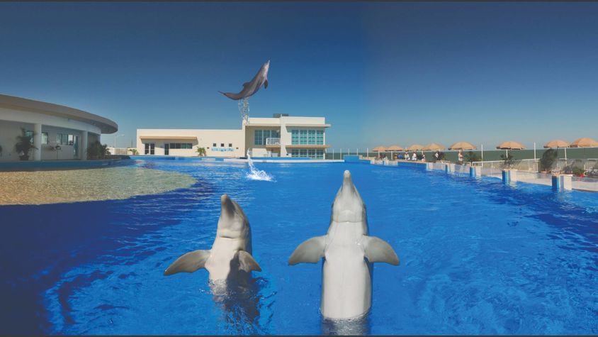 Marineland / Matanzas Shores