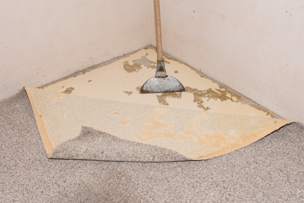 Should You Replace Carpet to Sell Your Home?