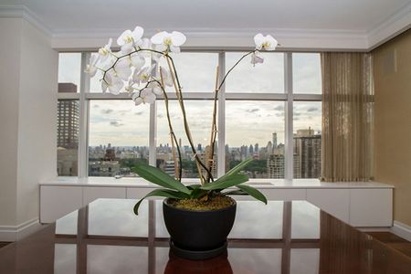 F498BC2C-2D1D-46EE-8C7D-66ABC1E9685D_1800x1200