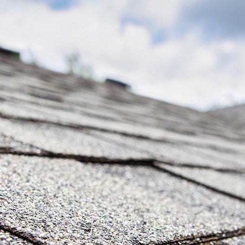 Home Inspection Add-Ons in NC: Radon, Termite and More