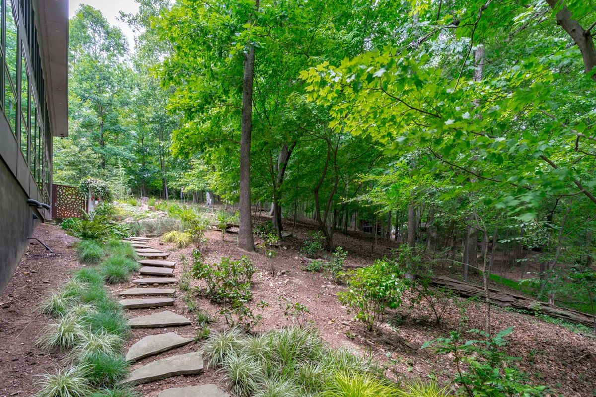 Caul Group-105 Whistling Tree Court-61