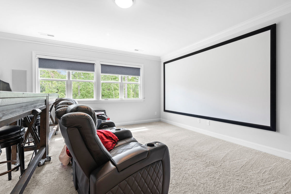 Caul Group-1233 Lowland St-45 theatre room