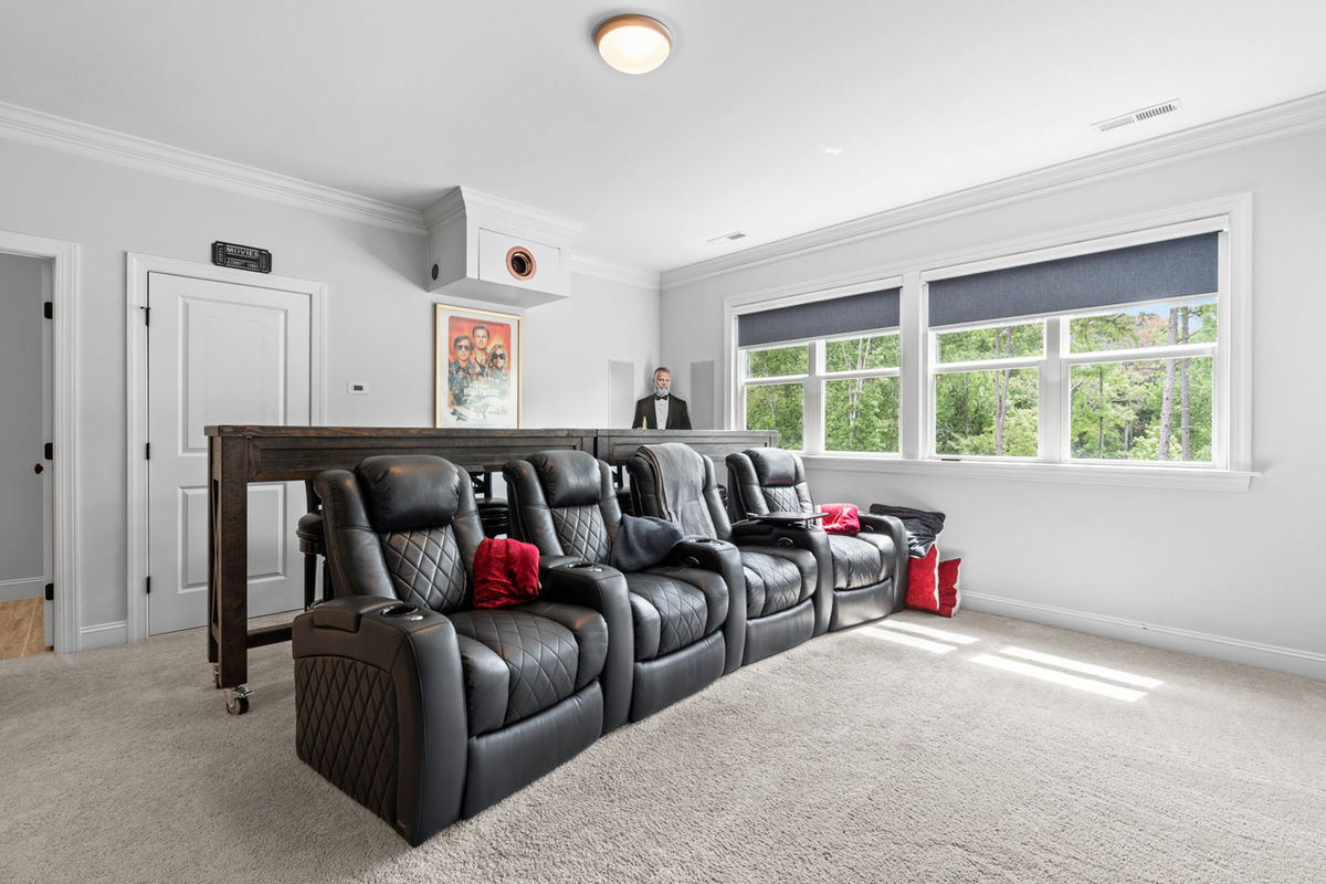 Caul Group-1233 Lowland St-46 theatre room