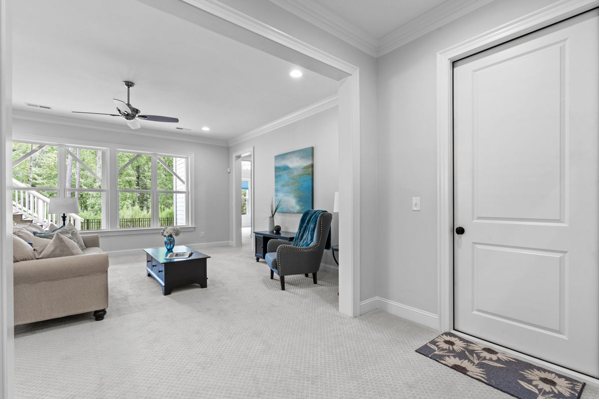 Caul Group-1233 Lowland St-57 basement