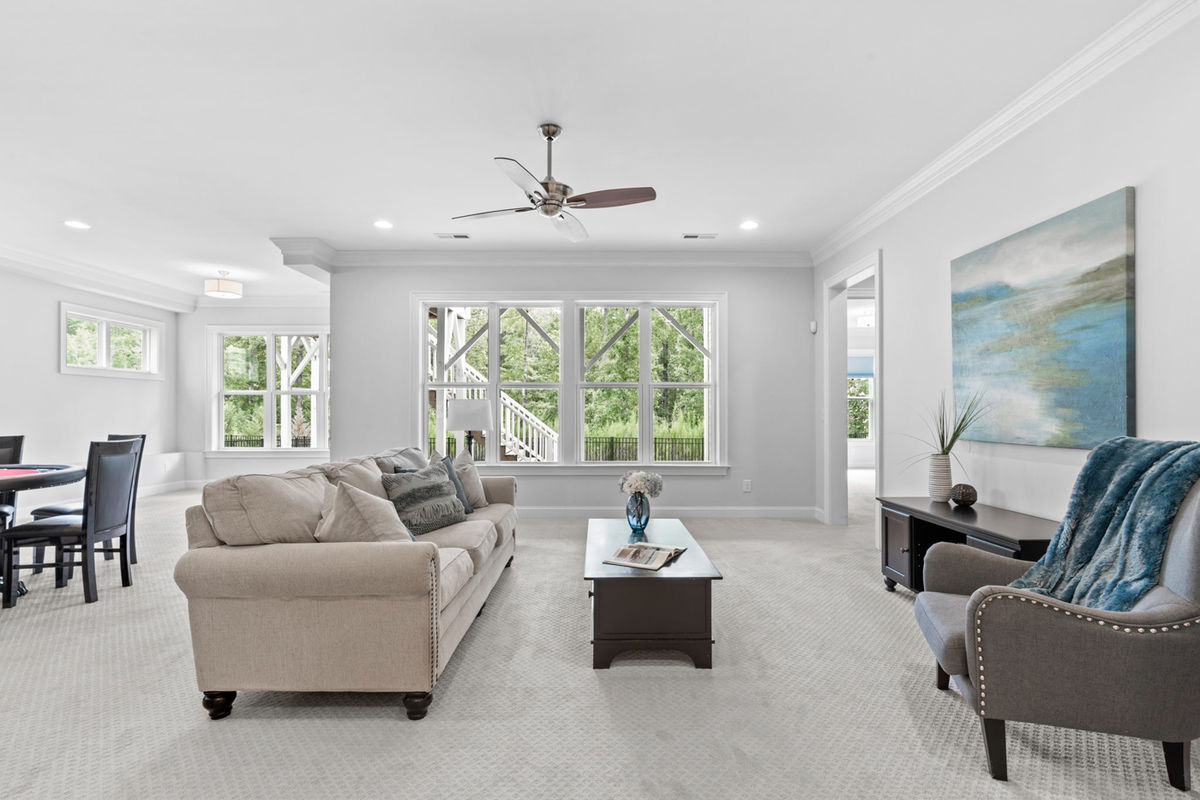 Caul Group-1233 Lowland St-58 basement