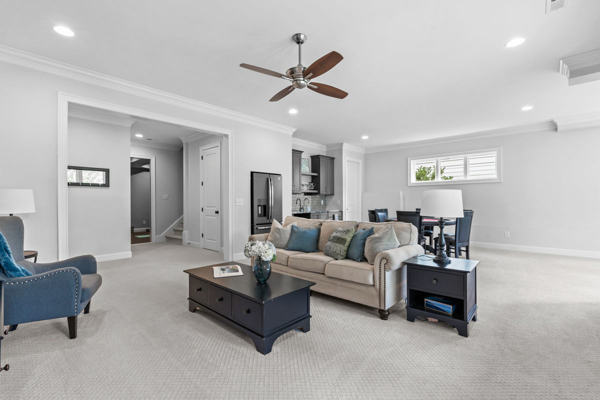 Caul Group-1233 Lowland St-60 basement
