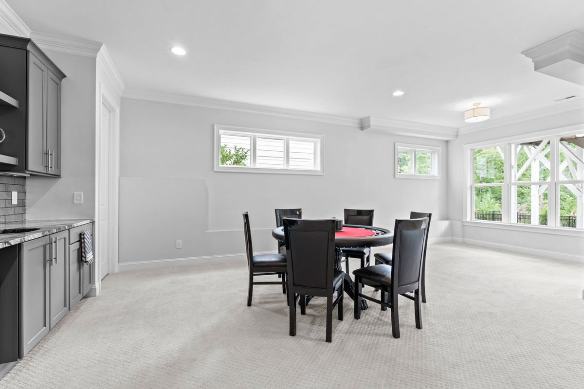 Caul Group-1233 Lowland St-61 basement