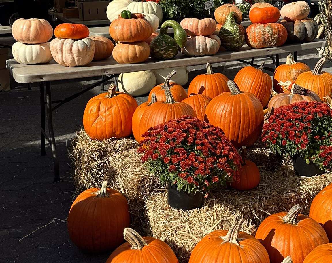 Orange pumpkins, heirloom squash and red mums on hay bales at an outdoor fall farmers market