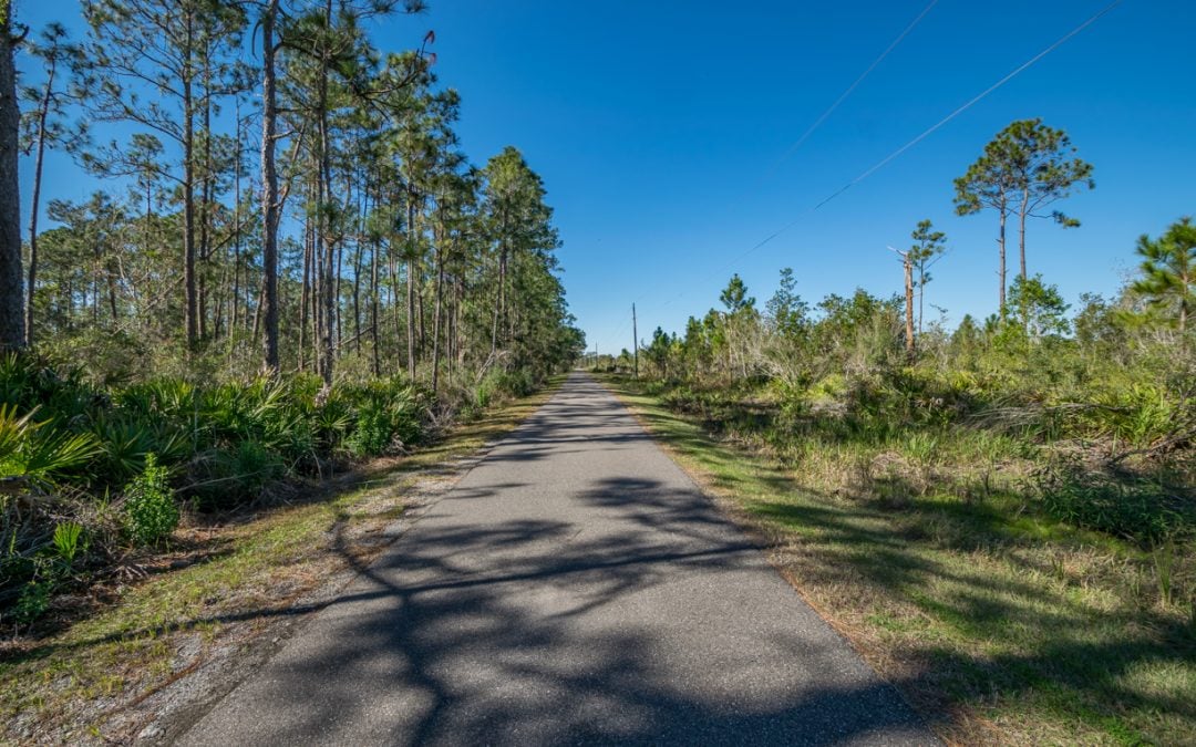 5 Acres for Only $35,000