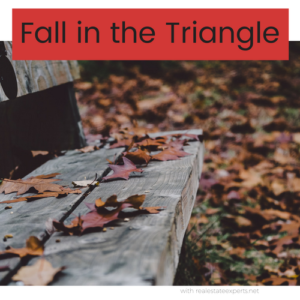 Are You Bored? Things to do in the Fall in the Triangle