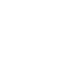 lpt logo white