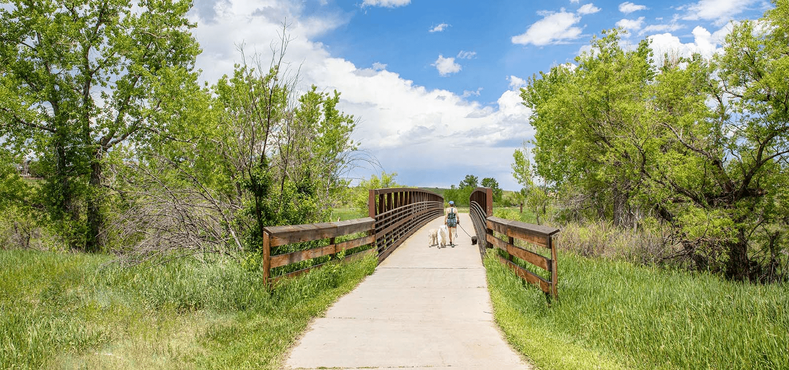 Cherry Creek Trail