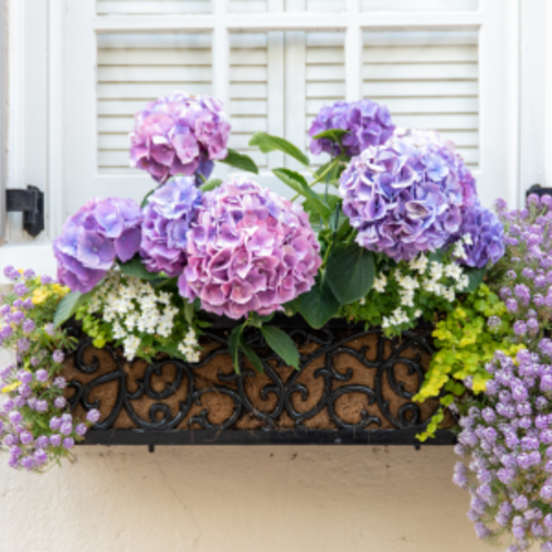 How to Sell Your Home This Spring in Mount Pleasant: 4 Tips That Actually Matter